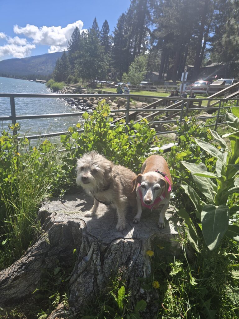 Lucy & Maggie
