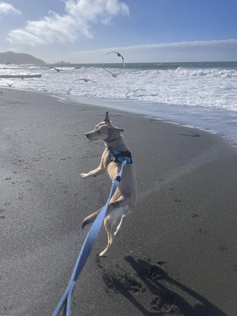 Duncan