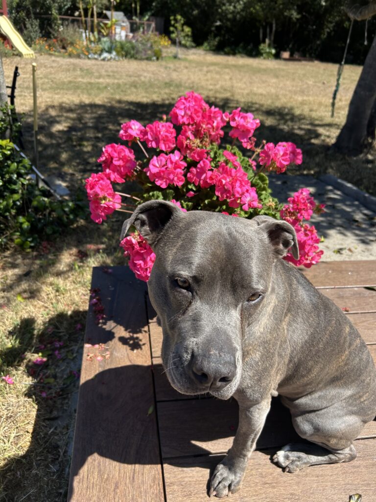 Coco