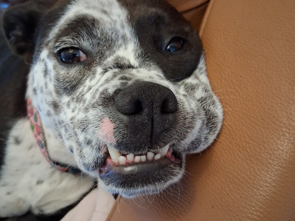 Sabrina