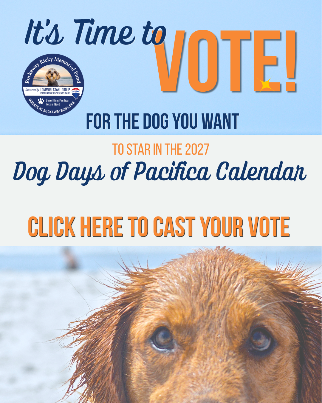 Vote Home page Graphic (1)
