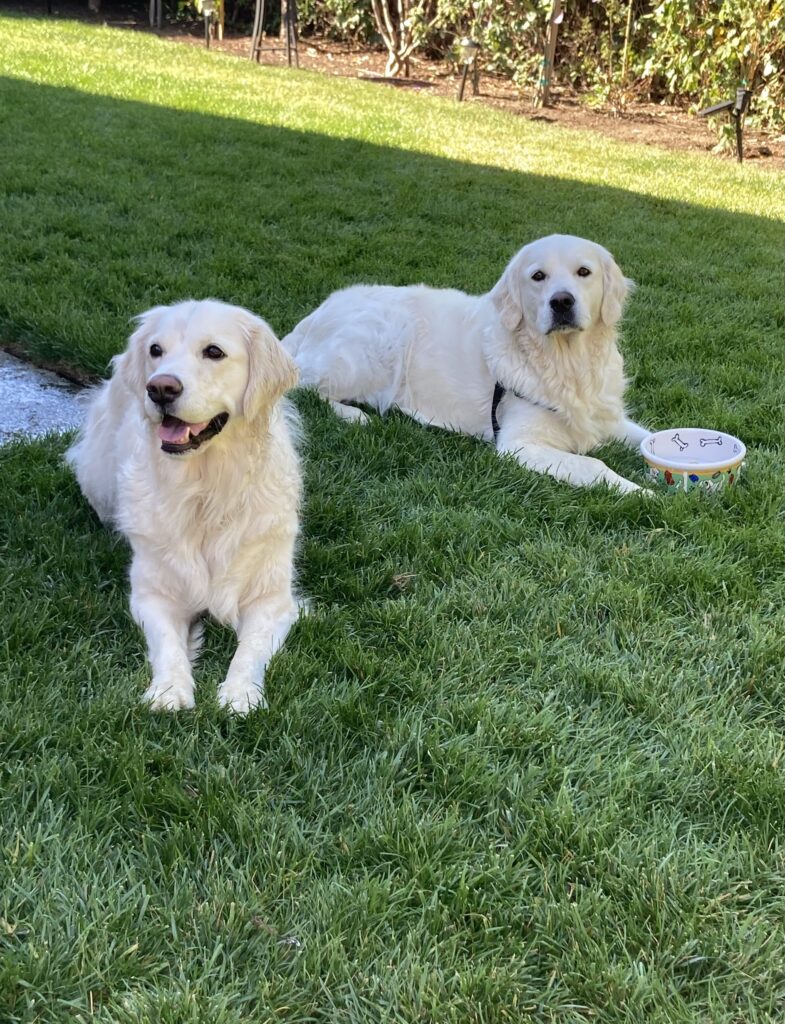 Murphy &Winnie
