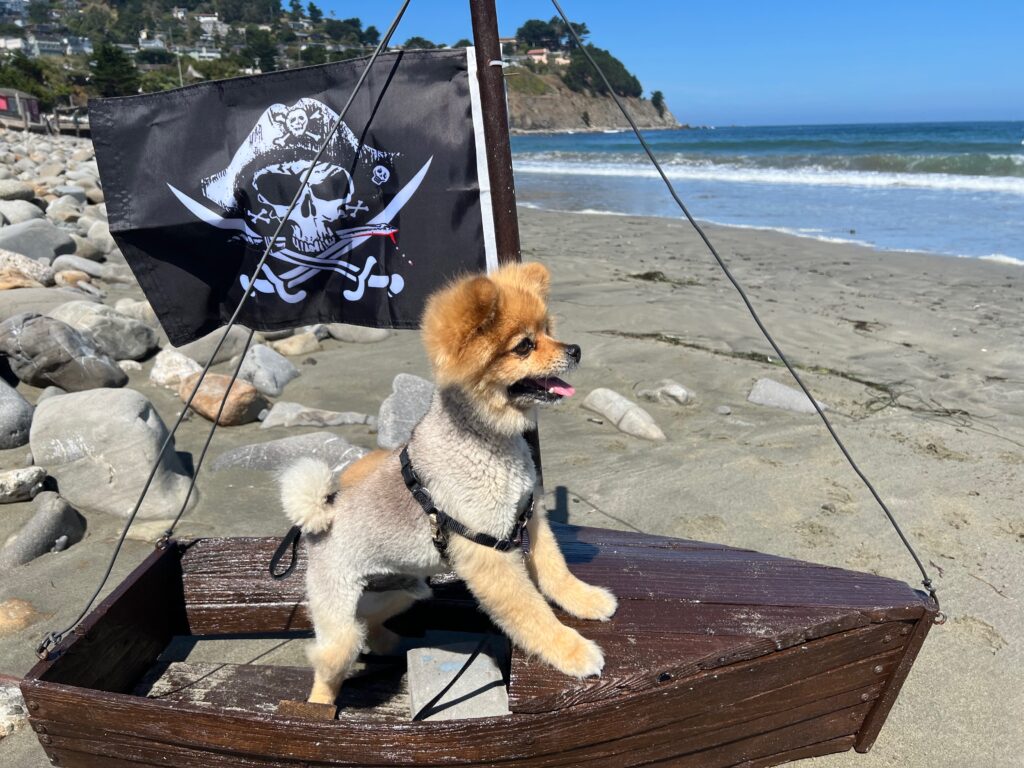 Finnegan