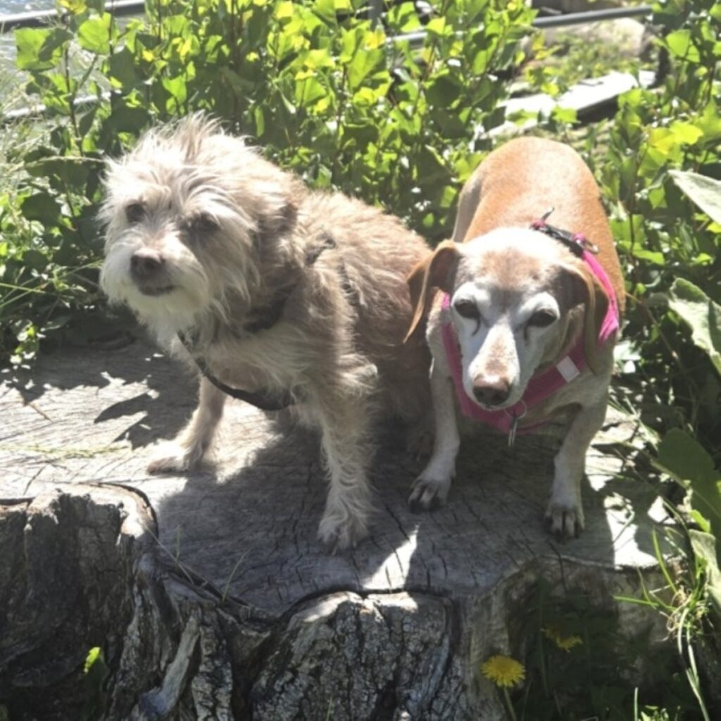 Lucy & Maggie