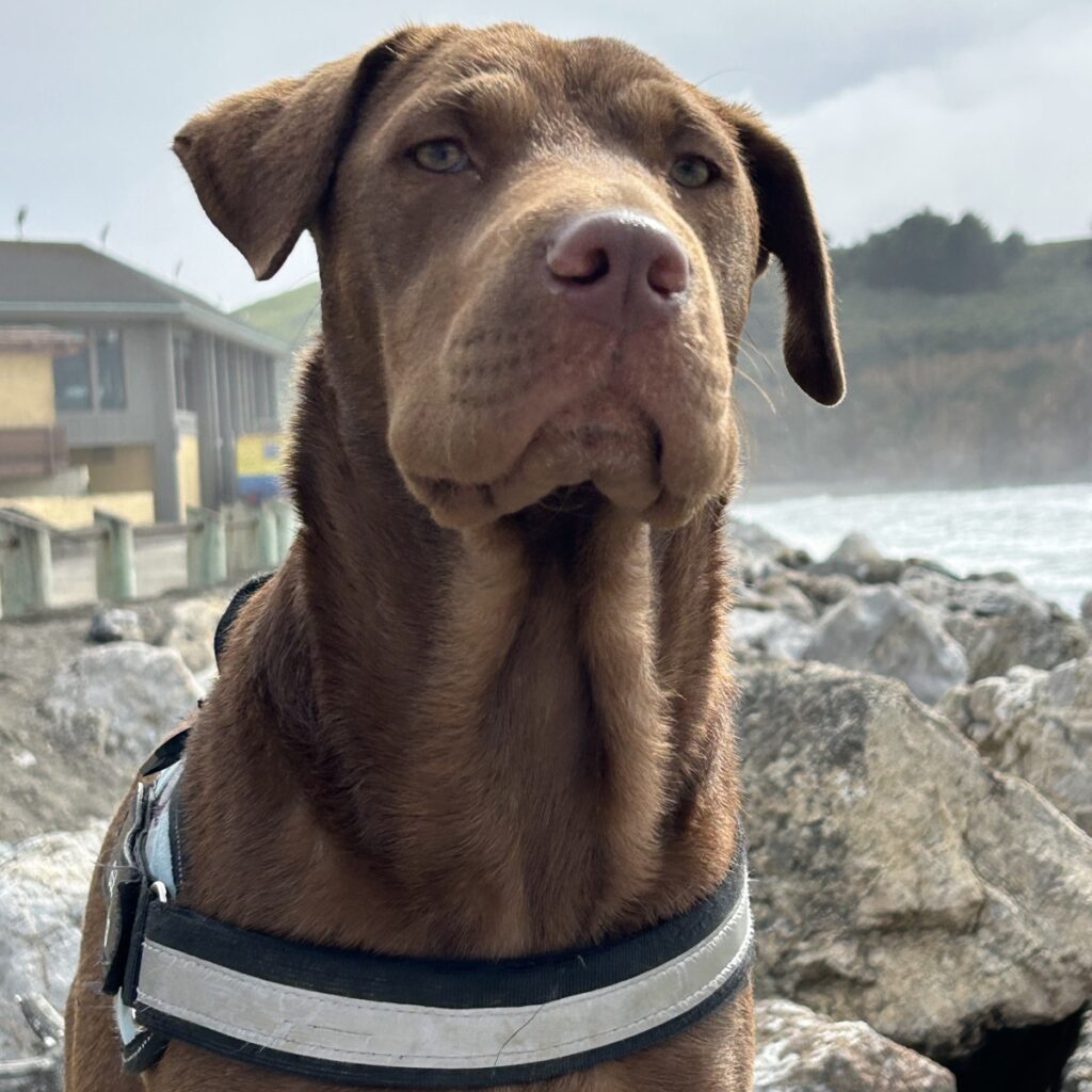Nella