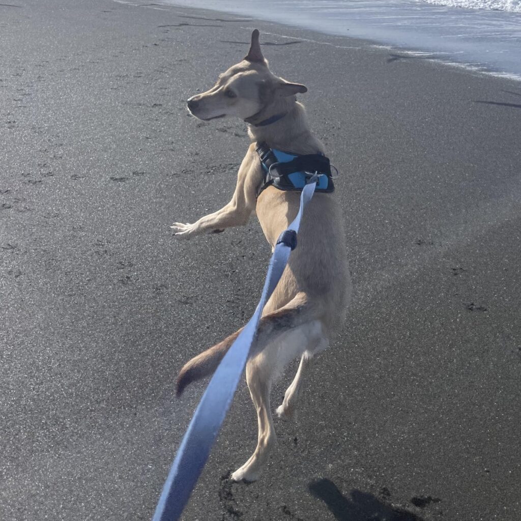 Duncan