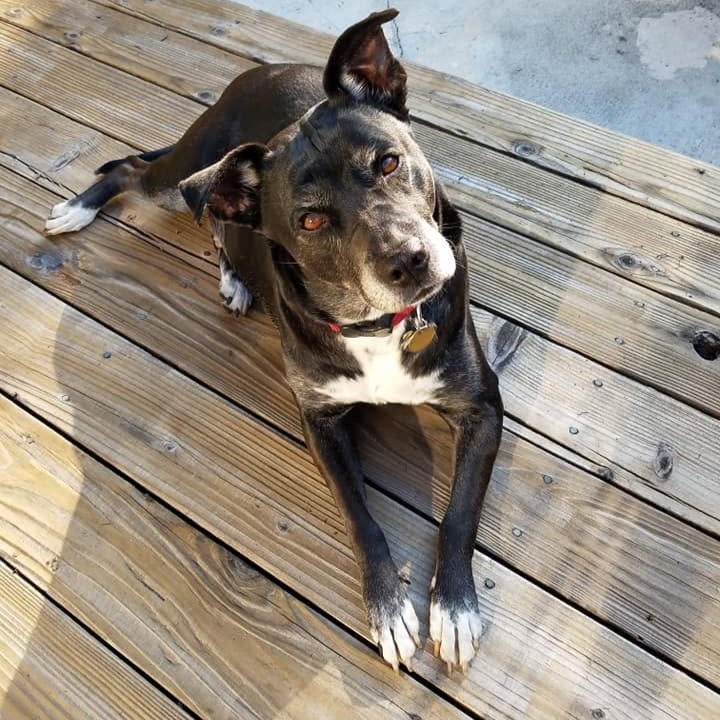 Leroy