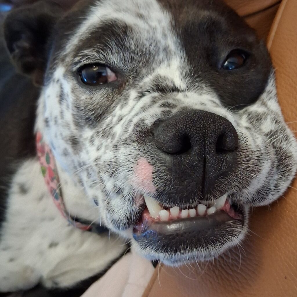 Sabrina