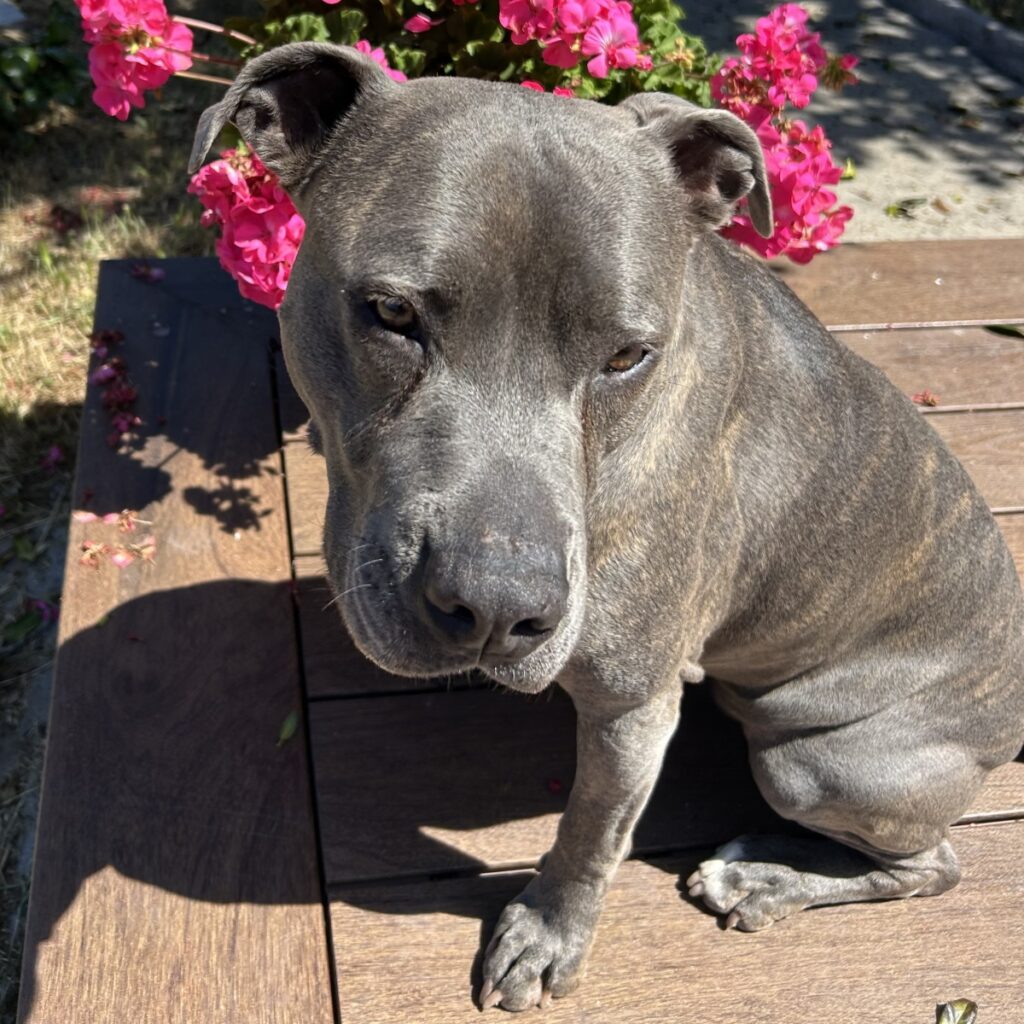 Coco