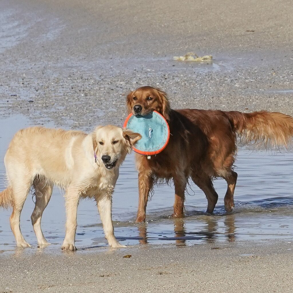 Lucy & Lyla