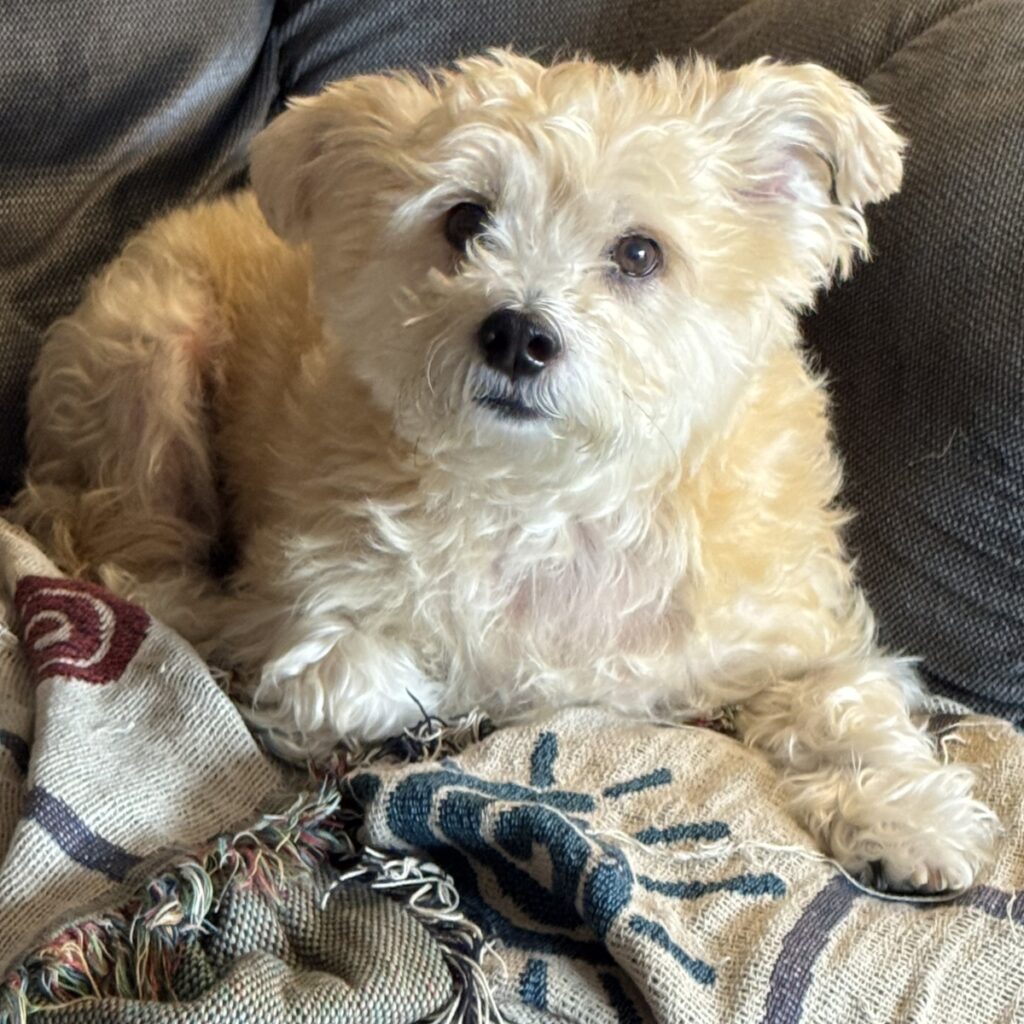 Charlie
